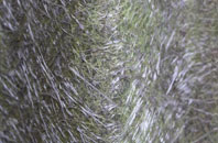 Great Smeaton fibreglass roof work